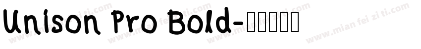 Unison Pro Bold字体转换